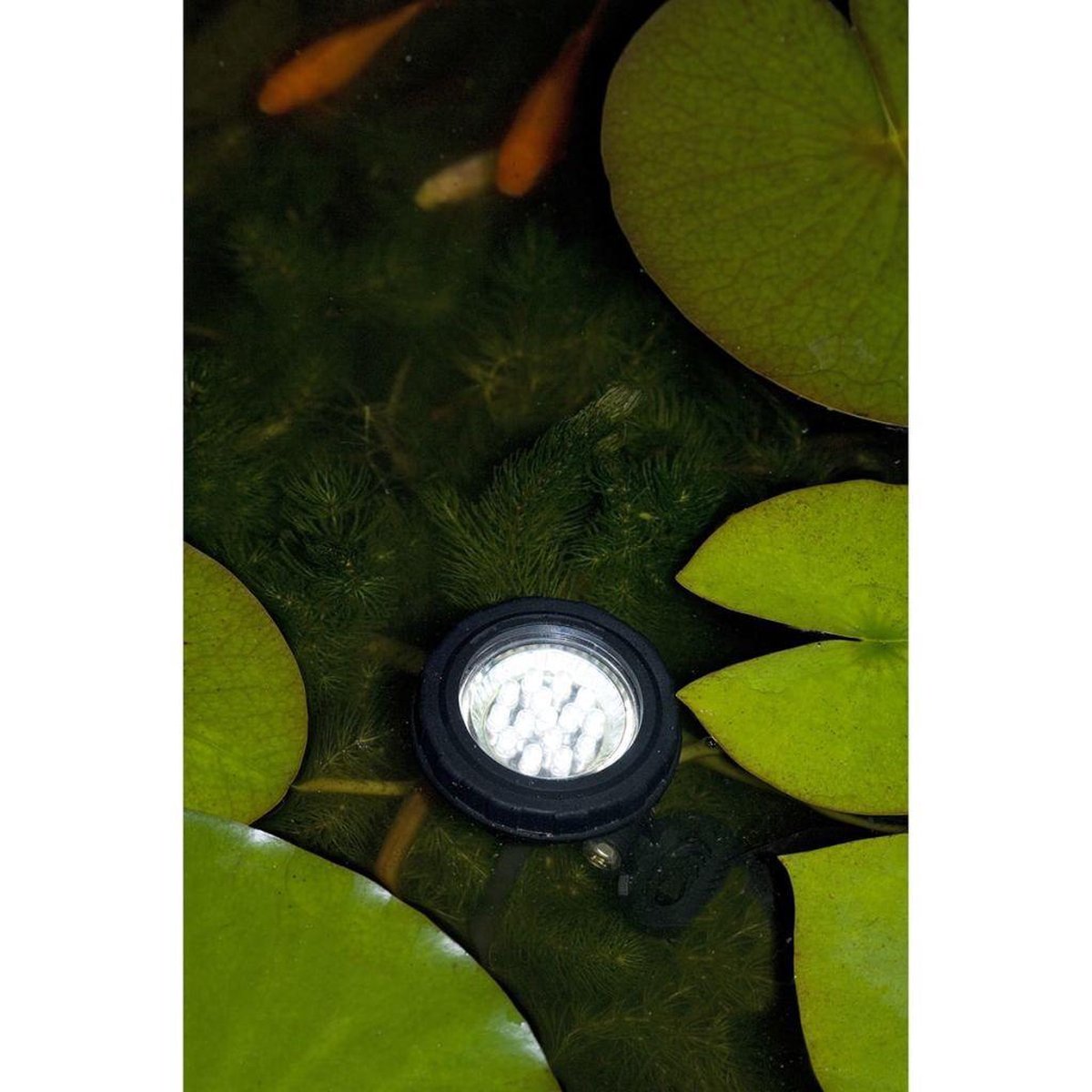 Ubbink MultiBright 20 LEDs - Zwart