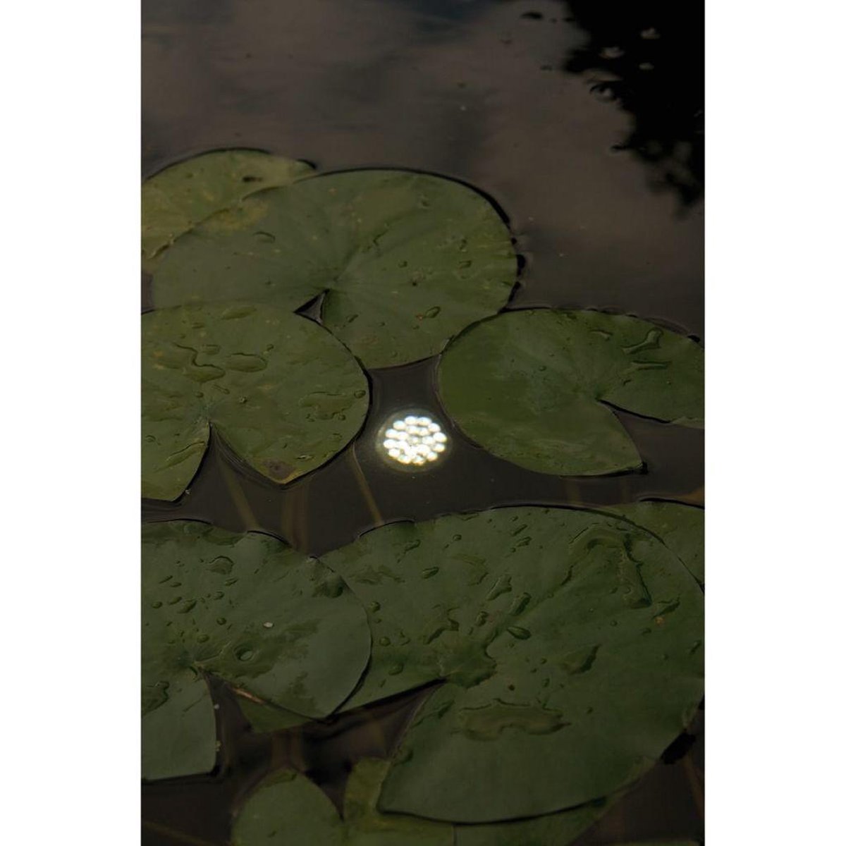 Ubbink MultiBright 20 LEDs - Zwart