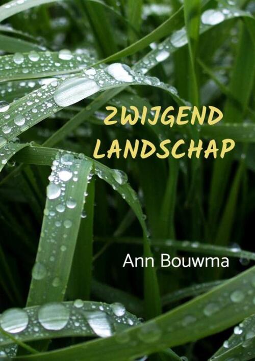 Brave New Books Zwijgend landschap