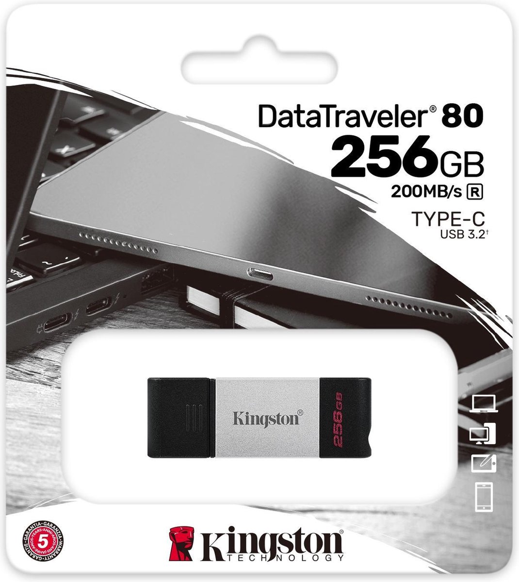 Kingston DataTraveler 80 256GB