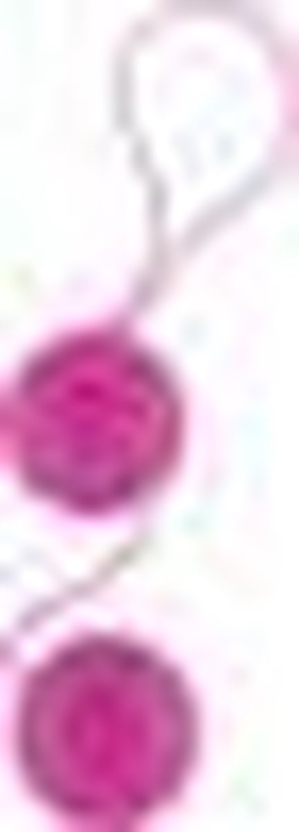 Funky Vaginaballetjes