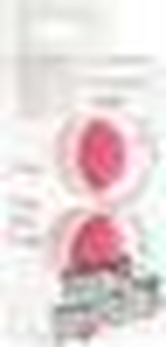 Funky Vaginaballetjes