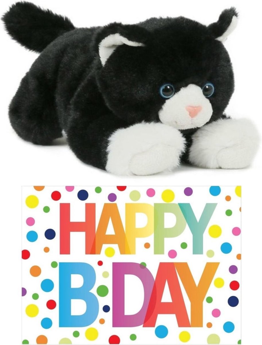 Bellatio Decorations Cadeau Setje Pluche/witte Kat/poes Knuffel 25 Cm Met Grote A5 Formaat Happy Birthday Wenskaart - Zwart