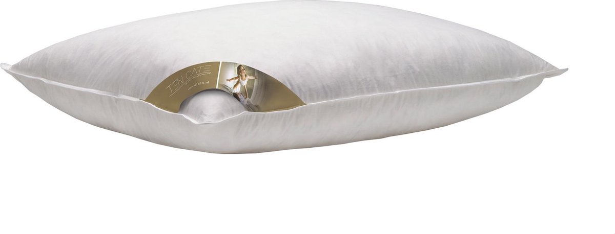 Ten Cate Ganzendonzen 3-kamer Hoofdkussen - 60x70