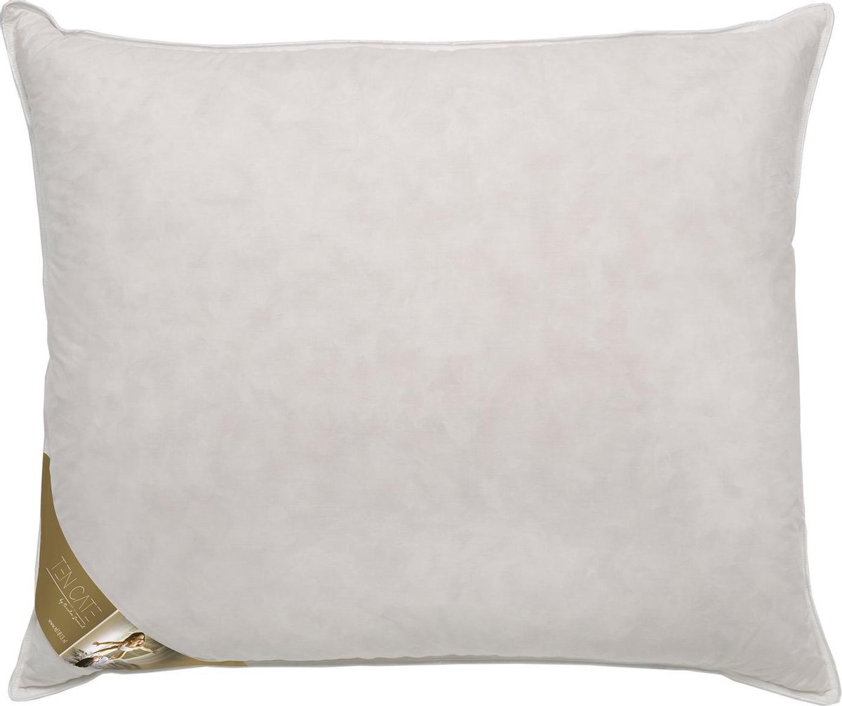 Ten Cate Ganzendonzen 3-kamer Hoofdkussen - 60x70