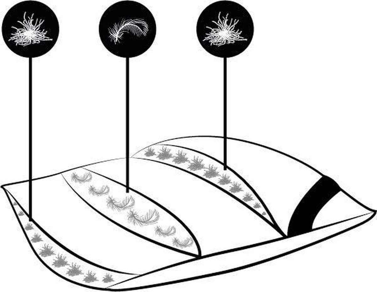 Ten Cate Ganzendonzen 3-kamer Hoofdkussen - 60x70