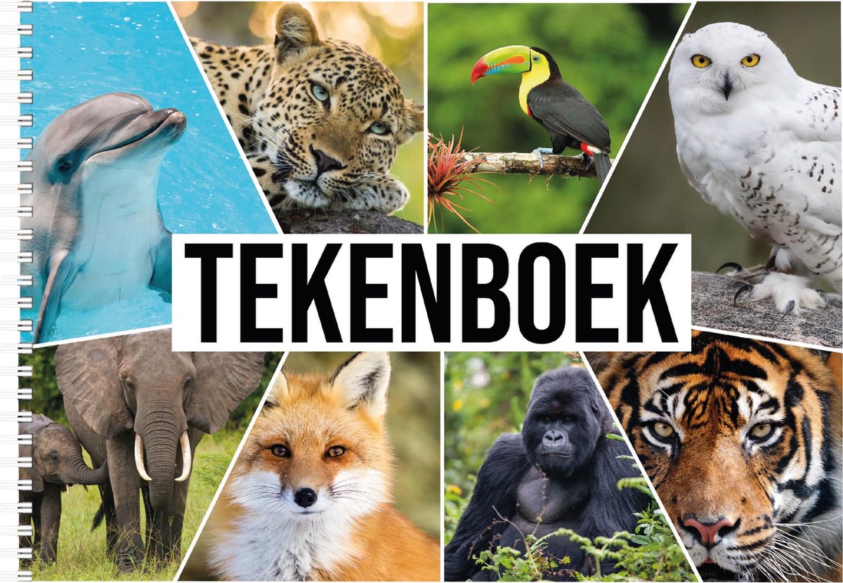 Bellatio Decorations Schetsboek Dieren Liefhebbers A4 50 Paginas Met 50 Viltstiften - Tekenboeken Cadeau Voor Kinderen - Wit