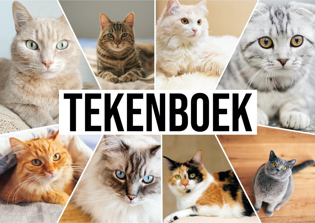 Bellatio Decorations Schetsboek Katten Liefhebbers A4 50 Paginas Met 50 Viltstiften - Tekenboeken Cadeau Voor Kinderen - Wit
