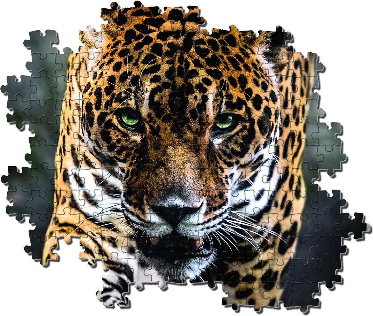 Clementoni Legpuzzel Walk Of The Jaguar 1000 Stukjes