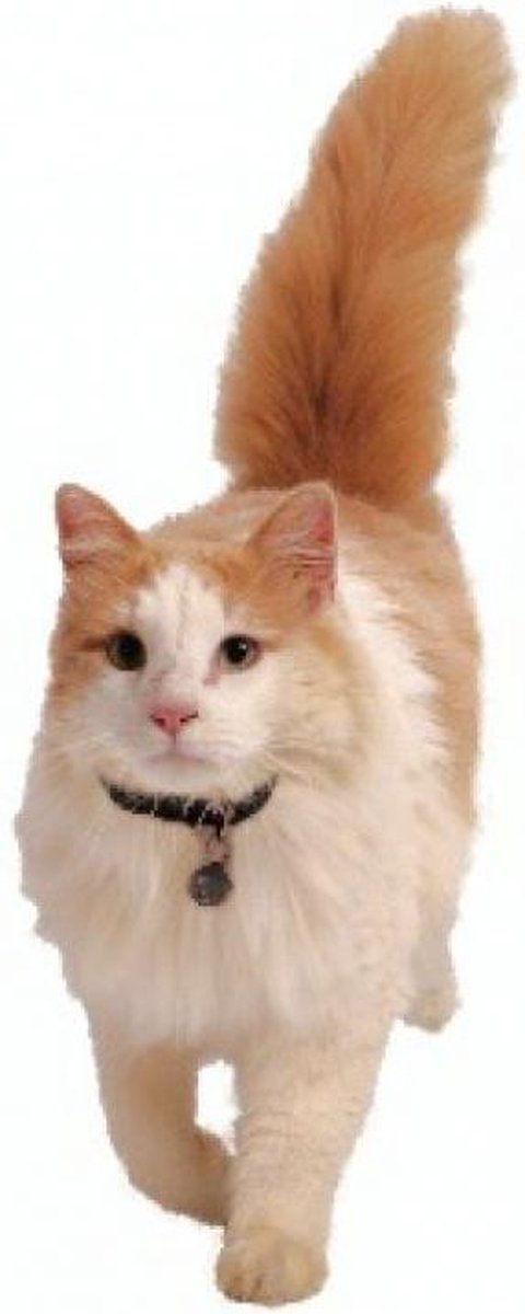 Gebr. de Boon Staywell Magnetische sluitel - Zwart