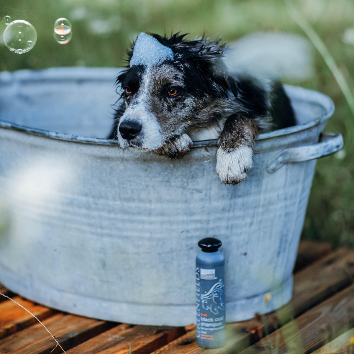 Greenfields Hondenshampoo Black Coat