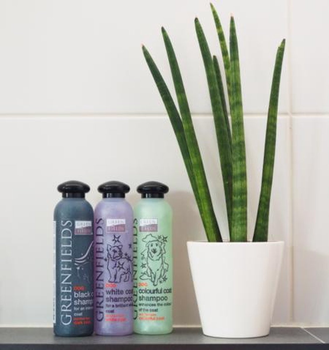 Greenfields Hondenshampoo Black Coat