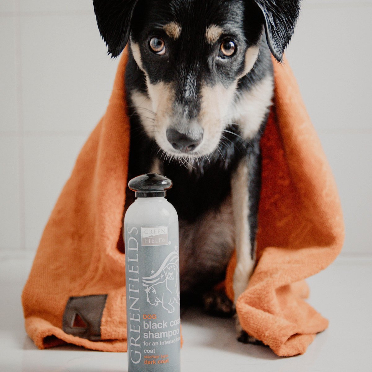 Greenfields Hondenshampoo Black Coat