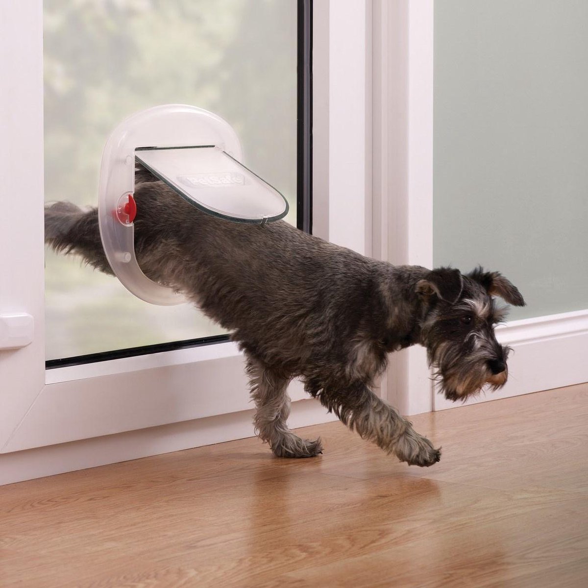 Petsafe Staywell Kattenluik voor grote katten