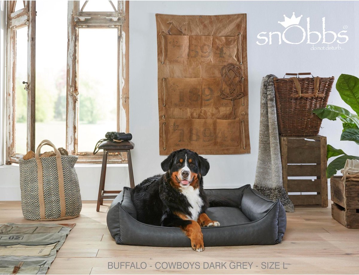 snObbs Hondenmand Buffalo Cowboys Brown - Bruin