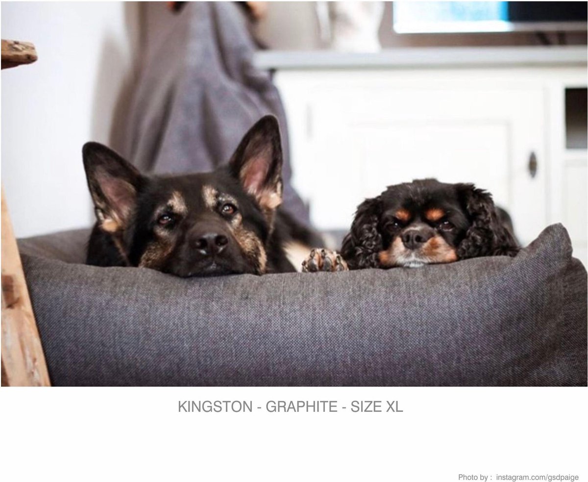 snObbs Hondenmand Kingston Graphite