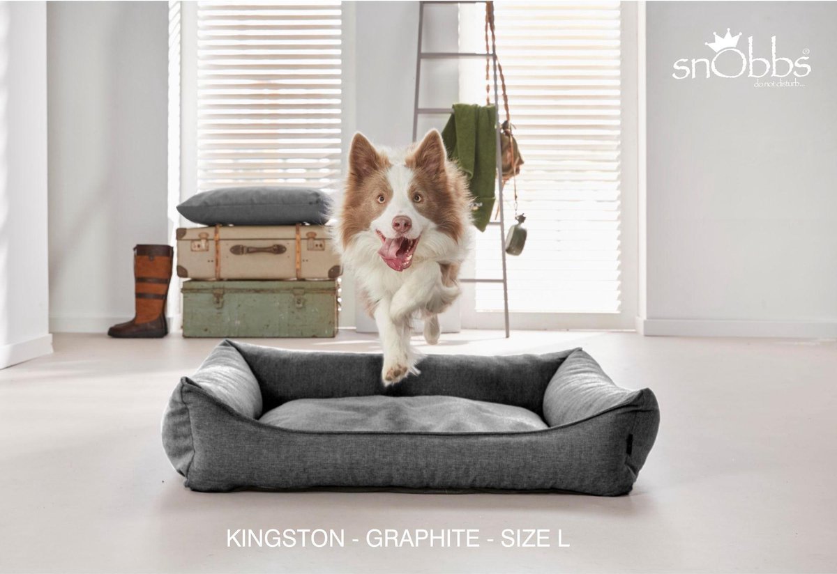 snObbs Hondenmand Kingston Graphite