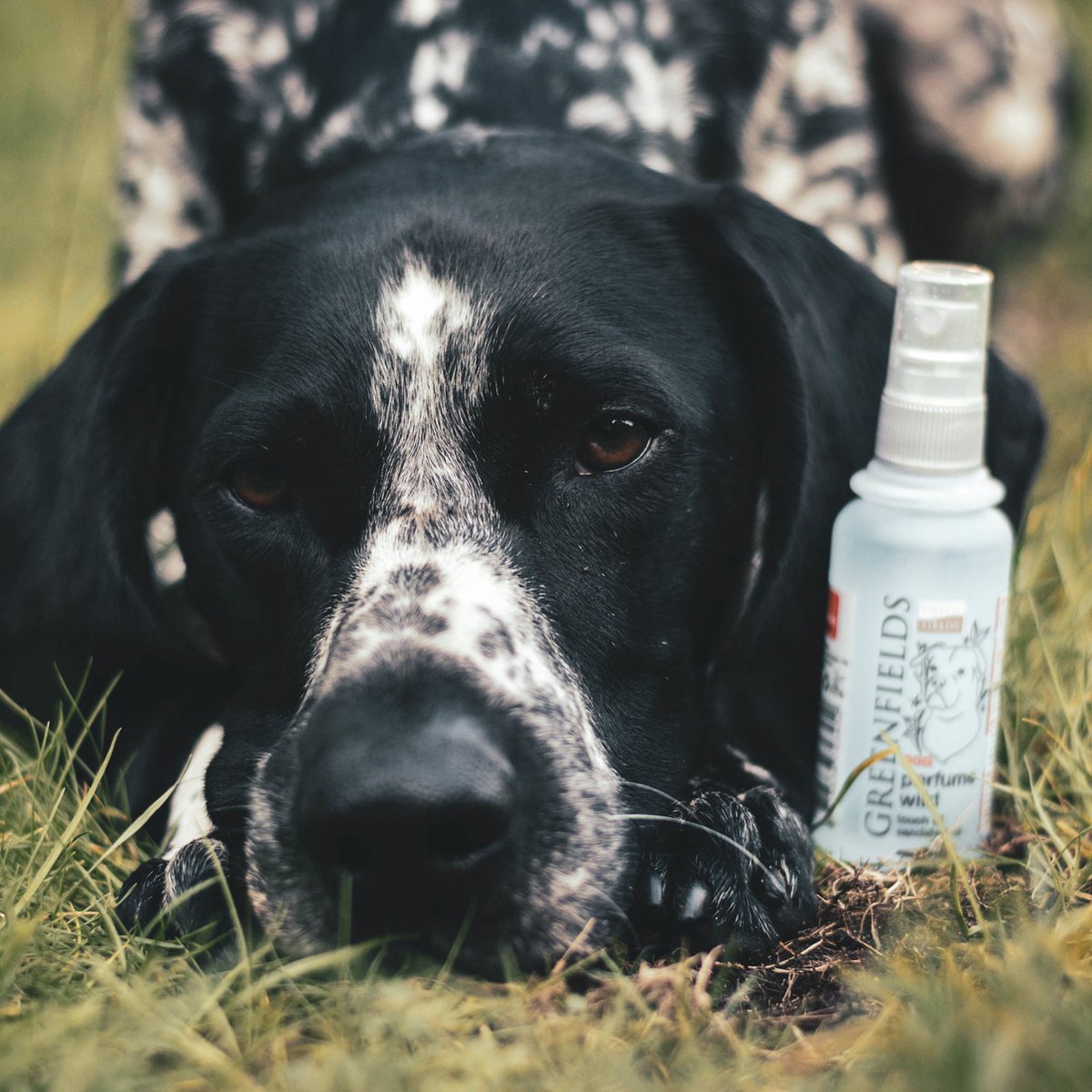 Greenfields Hondenparfum Fresh
