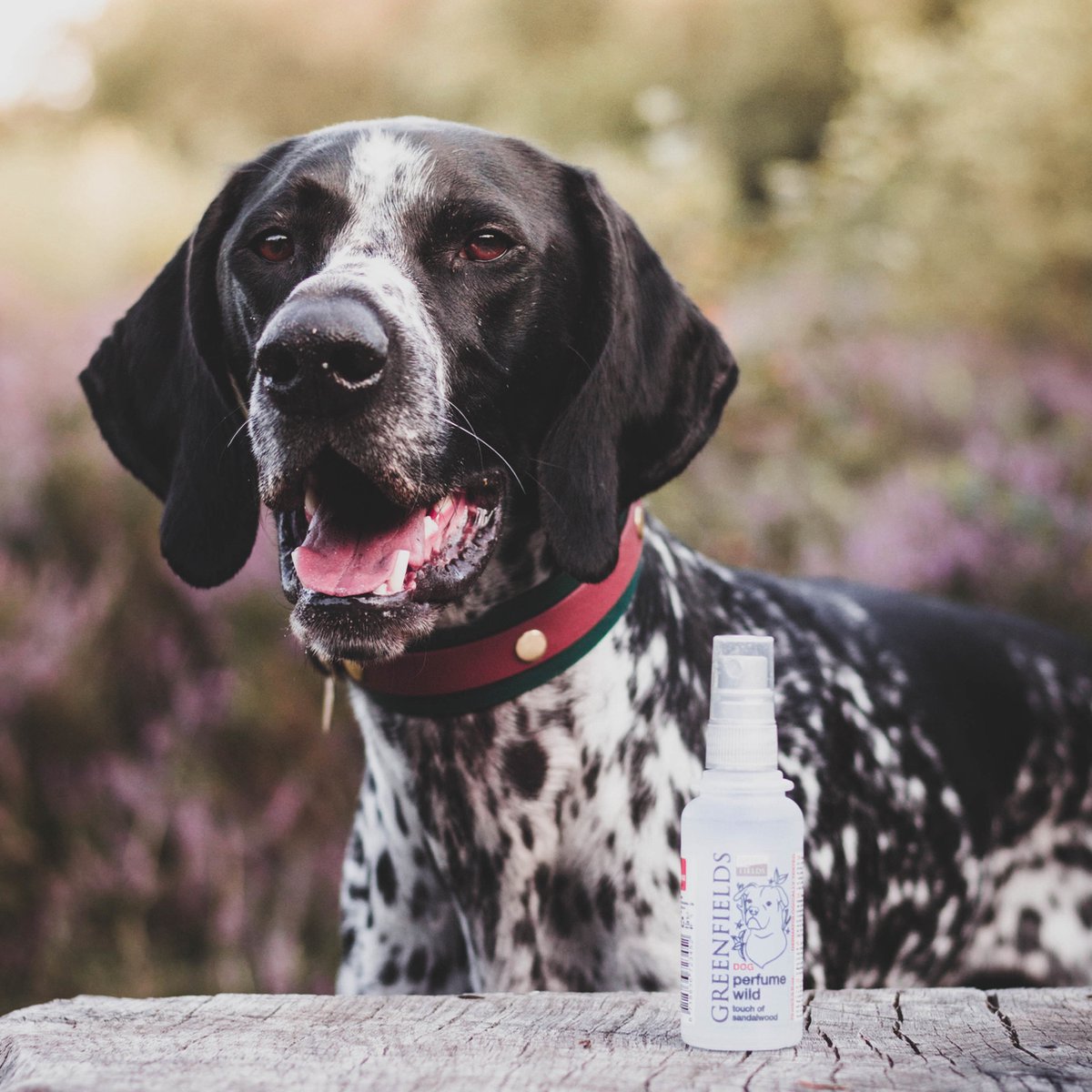 Greenfields Hondenparfum Fresh