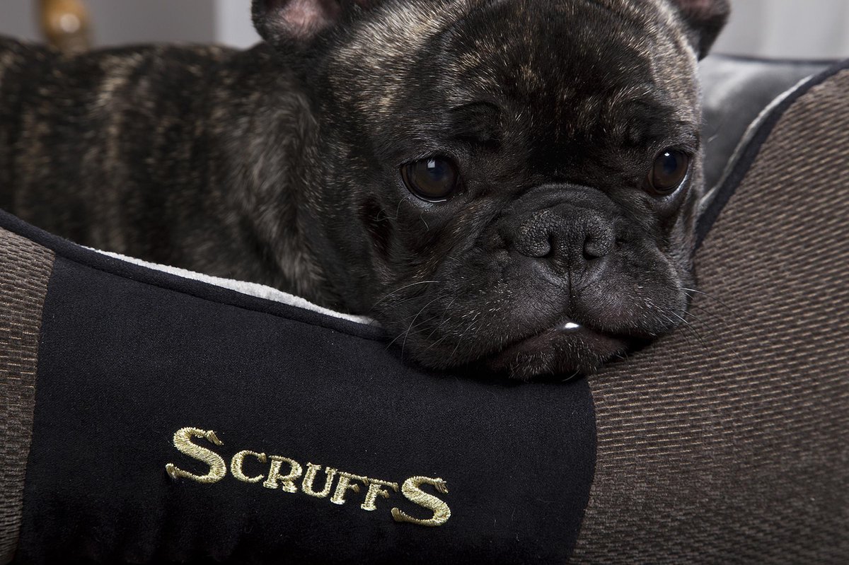 Scruffs & Tramps Hondenmand Chester Graphite - Grijs