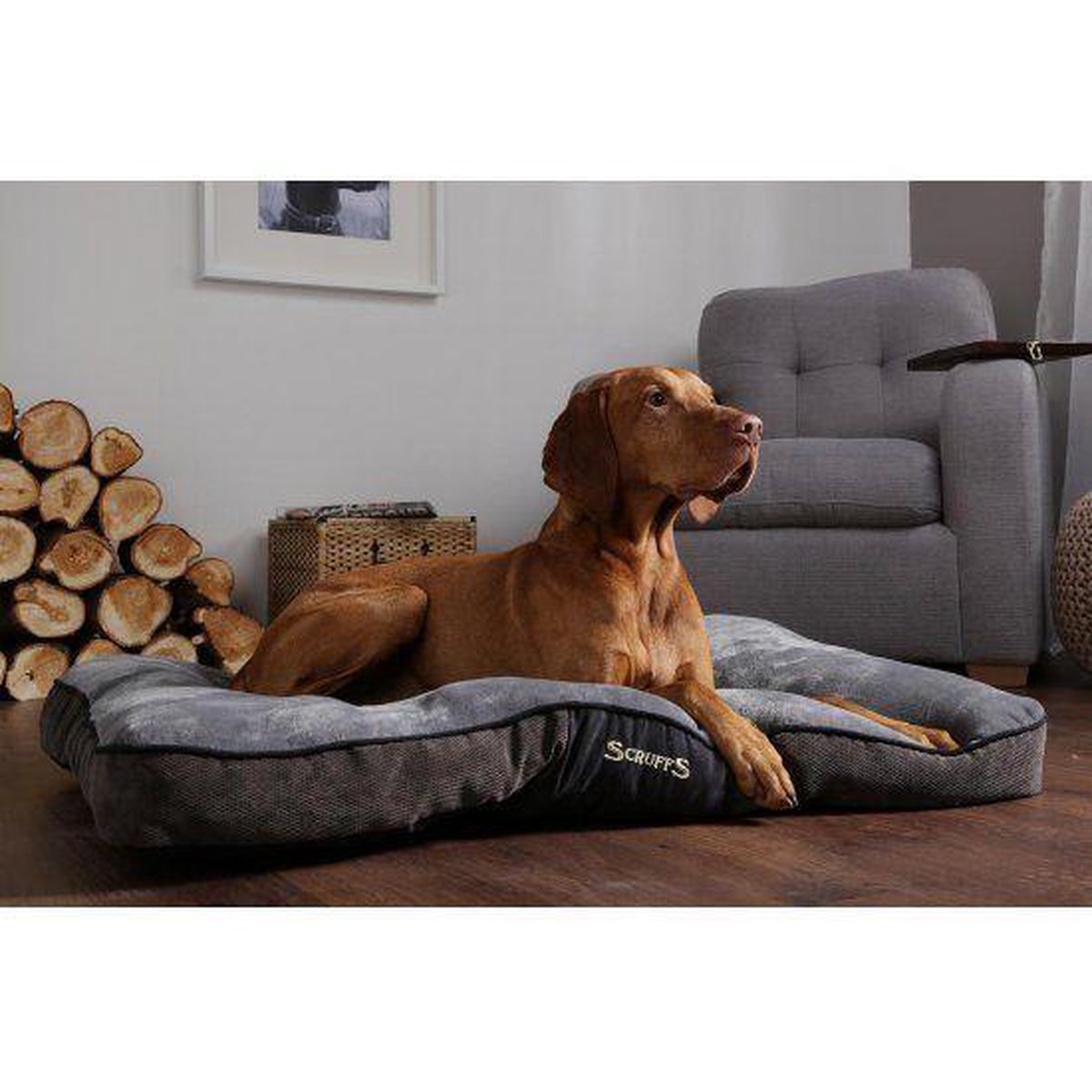 Scruffs & Tramps Hondenkussen Chester Chocolate - Bruin