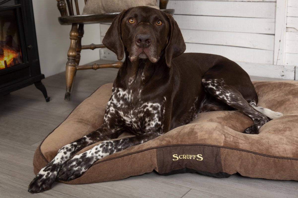 Scruffs & Tramps Hondenkussen Chester Chocolate - Bruin