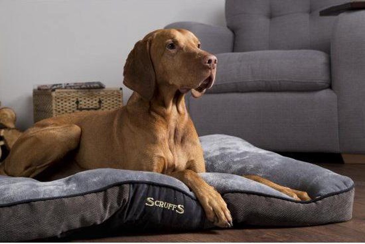 Scruffs & Tramps Hondenkussen Chester Chocolate - Bruin