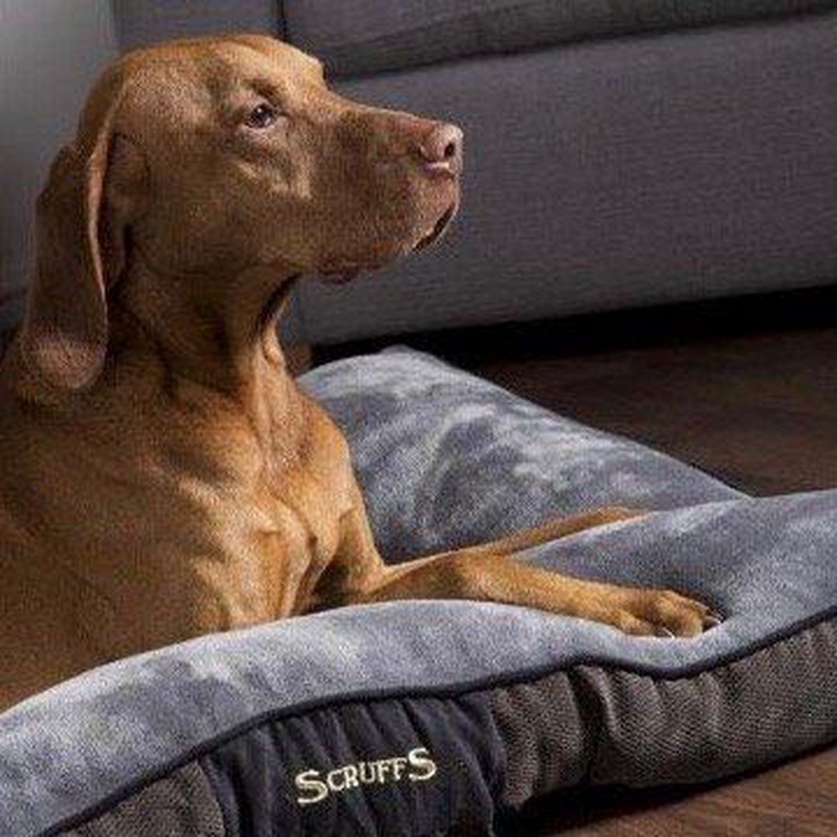 Scruffs & Tramps Hondenkussen Chester Chocolate - Bruin