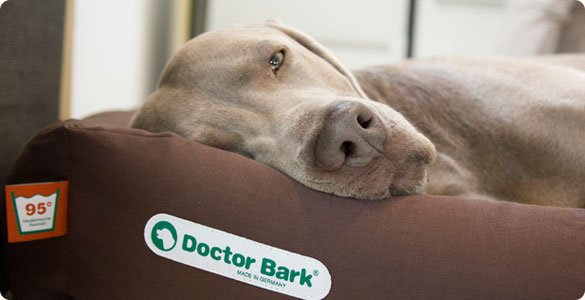 Doctor Bark Orthopedische Hondenmand - Bruin