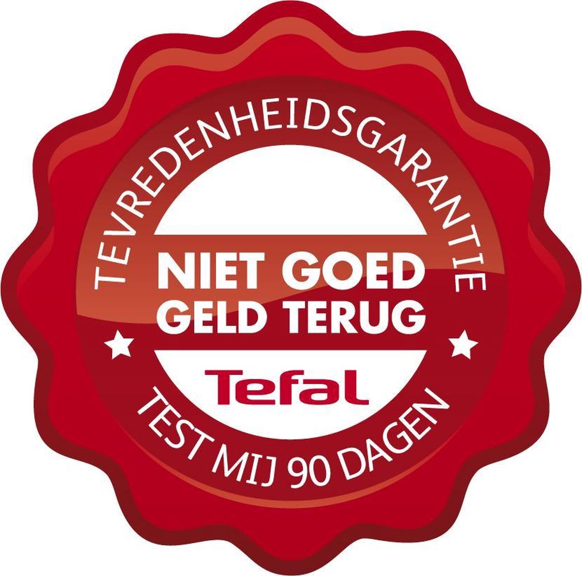 Tefal Easy Dry FS4020 Droogstrijkijzer - Groen