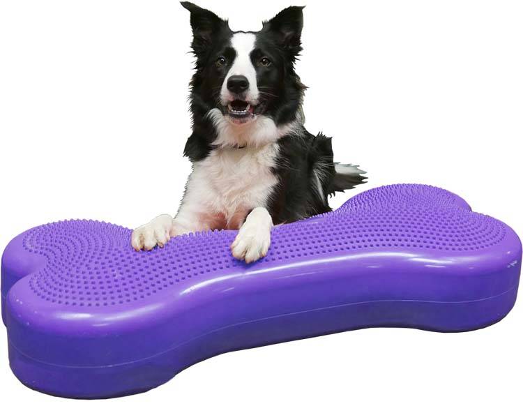 FitPAWS Giant K9FITbone Violet - Paars