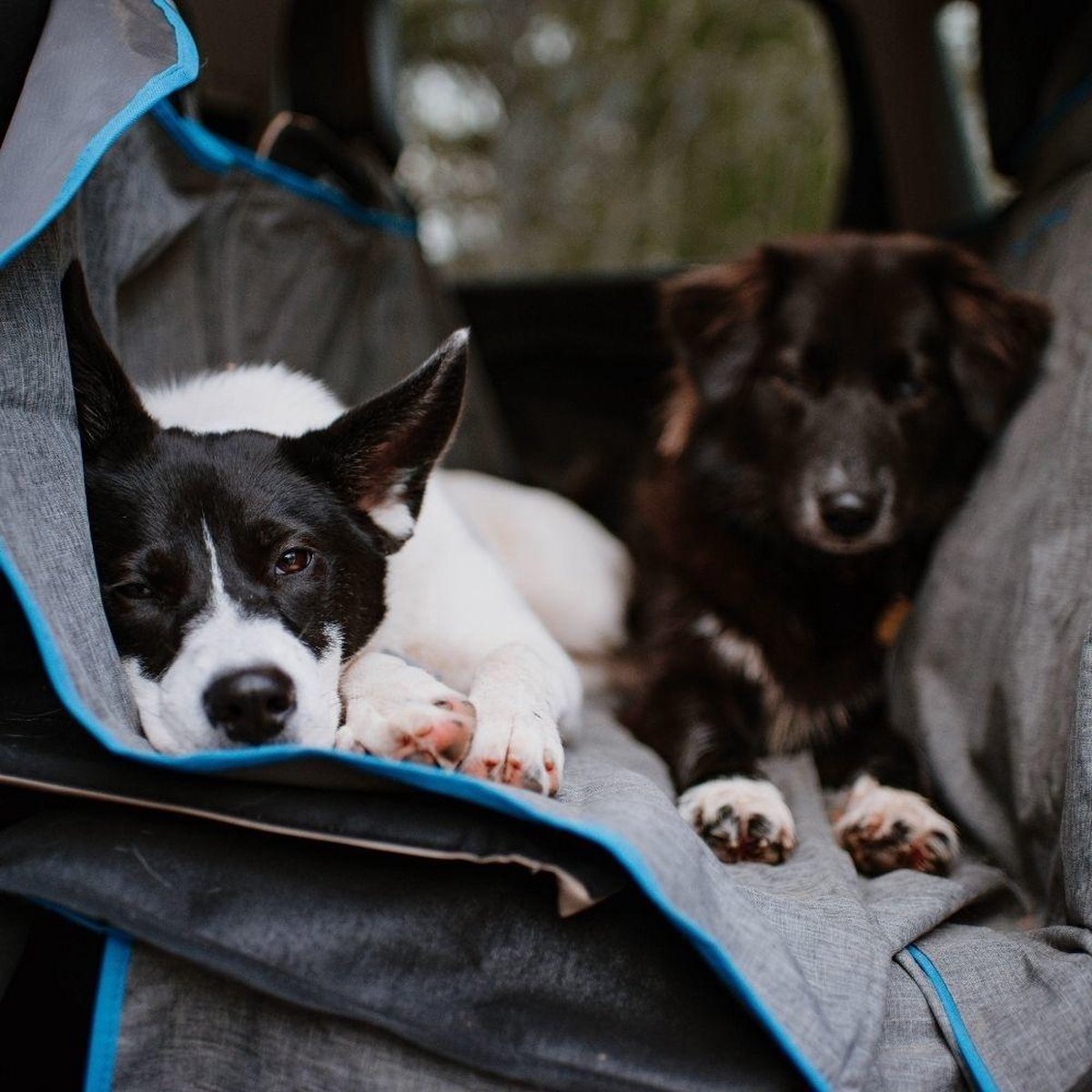 Kurgo Hondendeken voor de achterbank Hammock Grey