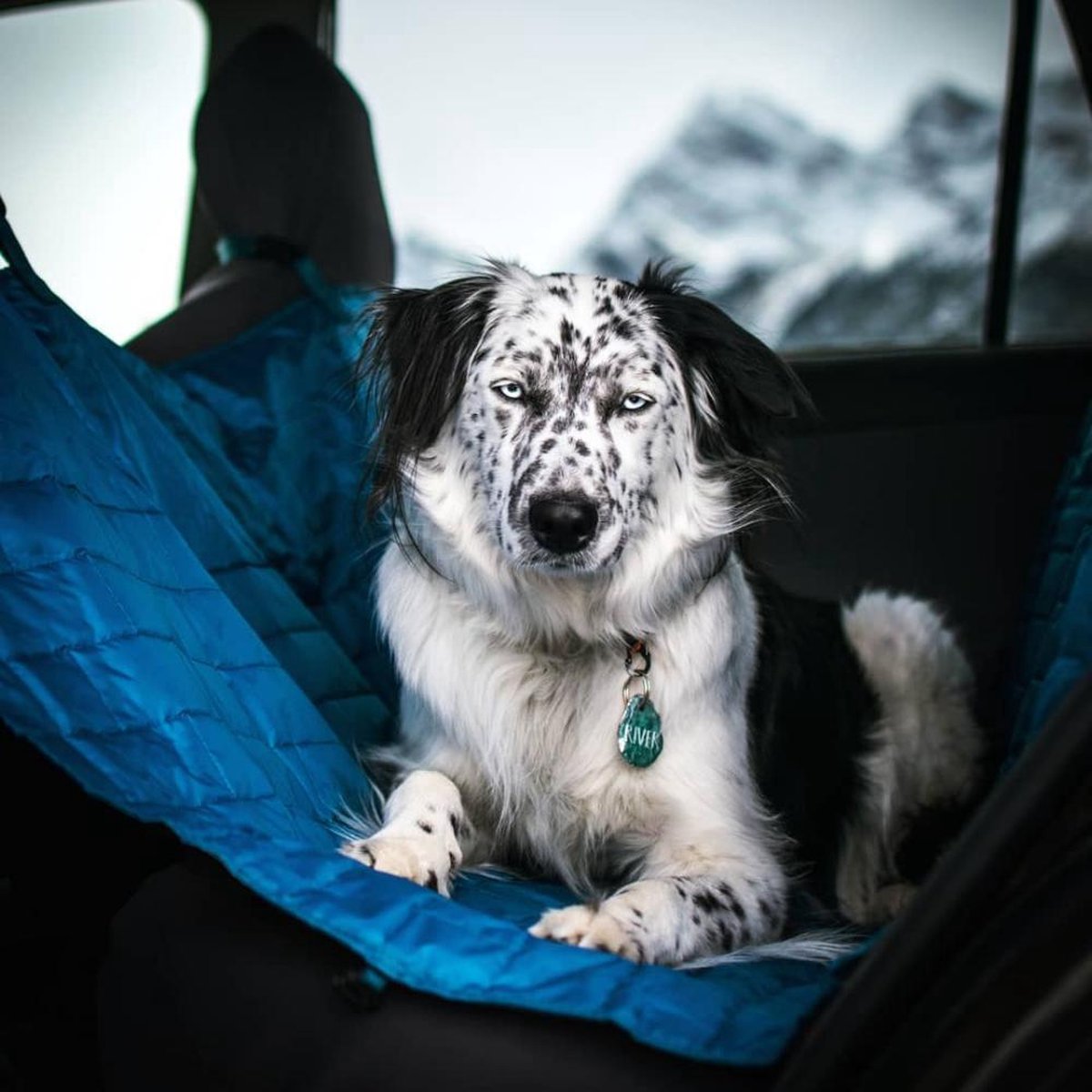 Kurgo Hondendeken Loft Hammock Blue