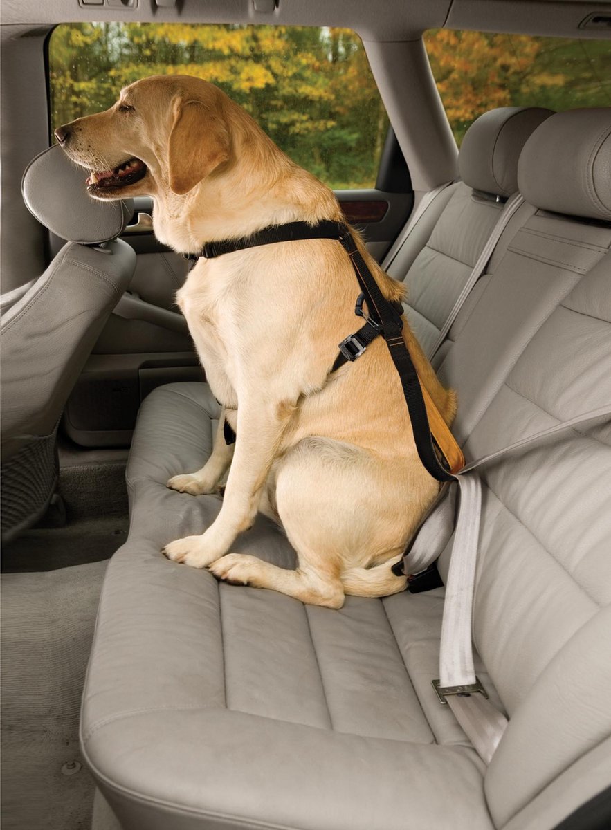 Kurgo Versterkt Hondentuig voor de auto - Zwart