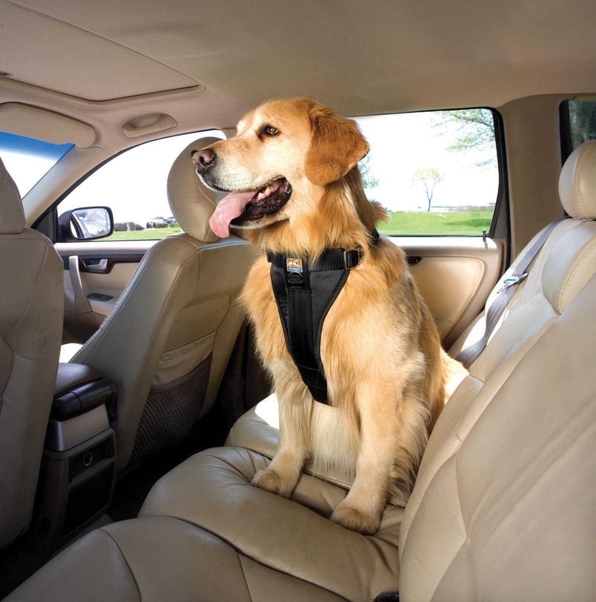 Kurgo Versterkt Hondentuig voor de auto - Zwart