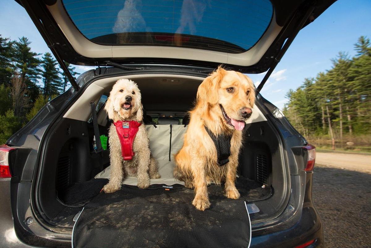 Kurgo Hondendeken voor de kofferbak Charcoal
