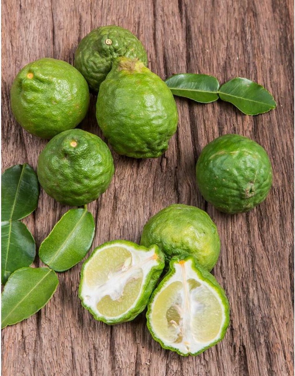 Marcels Green Soap Afwasmiddel Radijs & Bergamot