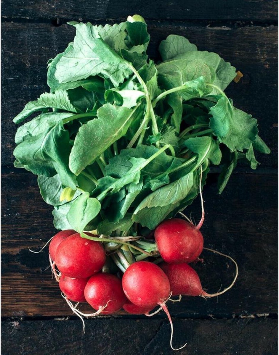 Marcels Green Soap Afwasmiddel Radijs & Bergamot