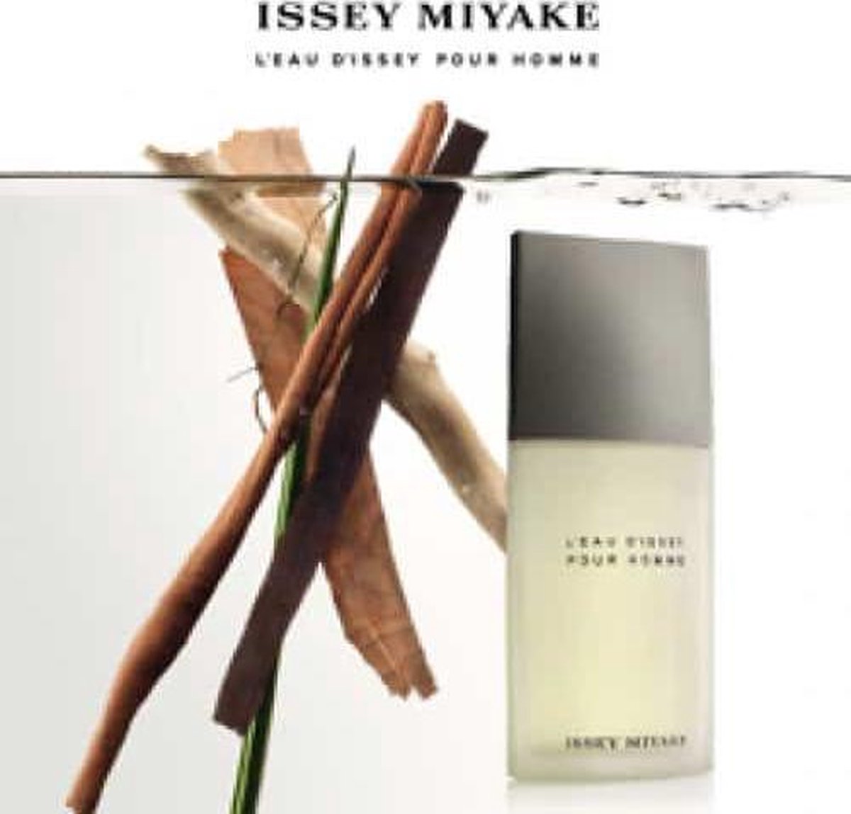 Issey Miyake L'Eau D'Issey Pour Homme Eau De Toilette 75ml