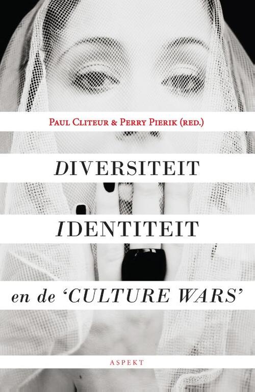 Diversiteit, identiteit en de 'culture wars'
