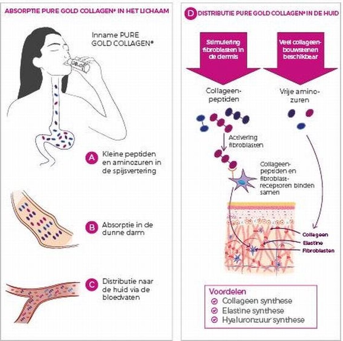 Gold Collagen ® Pure - 30 dagen kuur