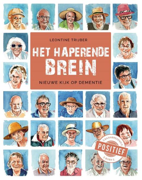 Het haperende brein