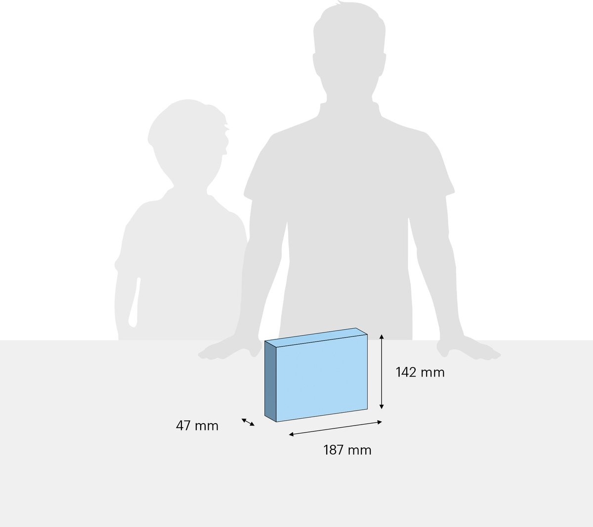 Playmobil Country Verzamelpony Connemara (70516)