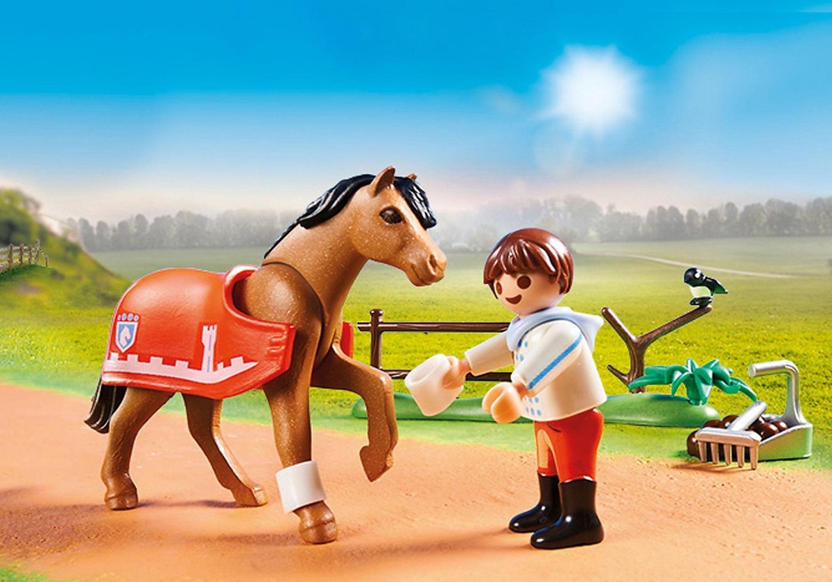 Playmobil Country Verzamelpony Connemara (70516)