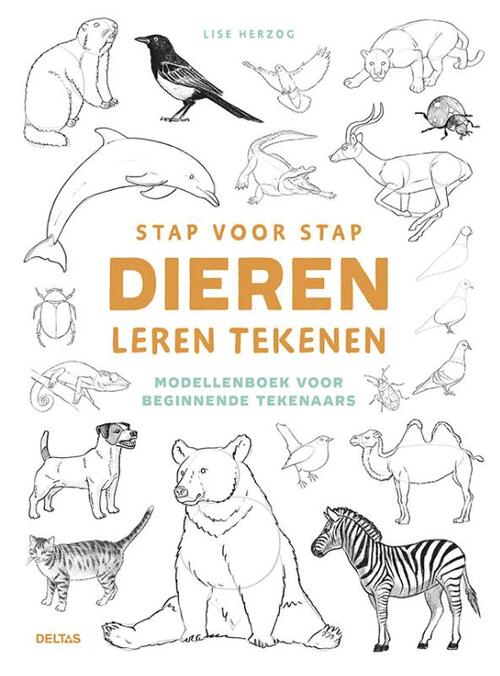 Stap voor stap dieren leren tekenen