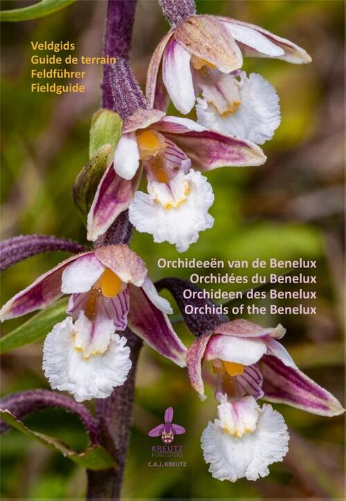 Kreutz Publishers Orchideeën van de Benelux