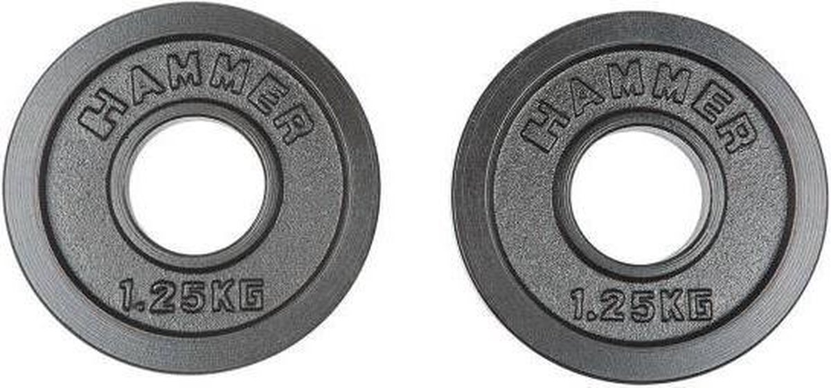 HAMMER Olympische Gietijzeren Halterschijven - 2 x 15 kg