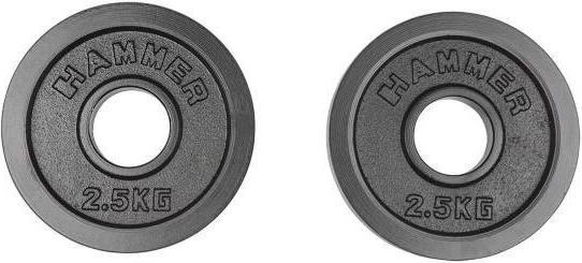 HAMMER Olympische Gietijzeren Halterschijven - 2 x 15 kg
