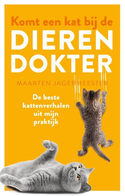 Houtekiet Komt een kat bij de dierendokter