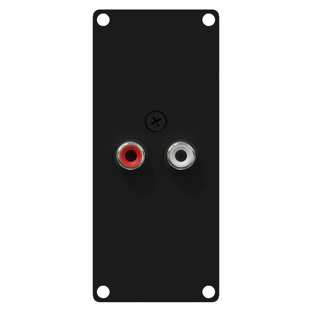 Caymon CASY132/B 2x RCA naar 2x 3pins terminal block module voor CASY-chassis